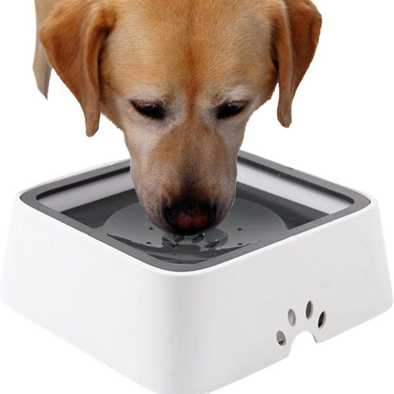 Large Capacity Anti-Overflow Dog Drinking Water Bowl