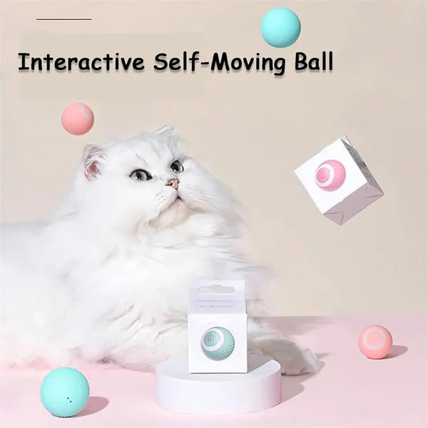 2 in 1 Simulated Interactive hunting cat toy