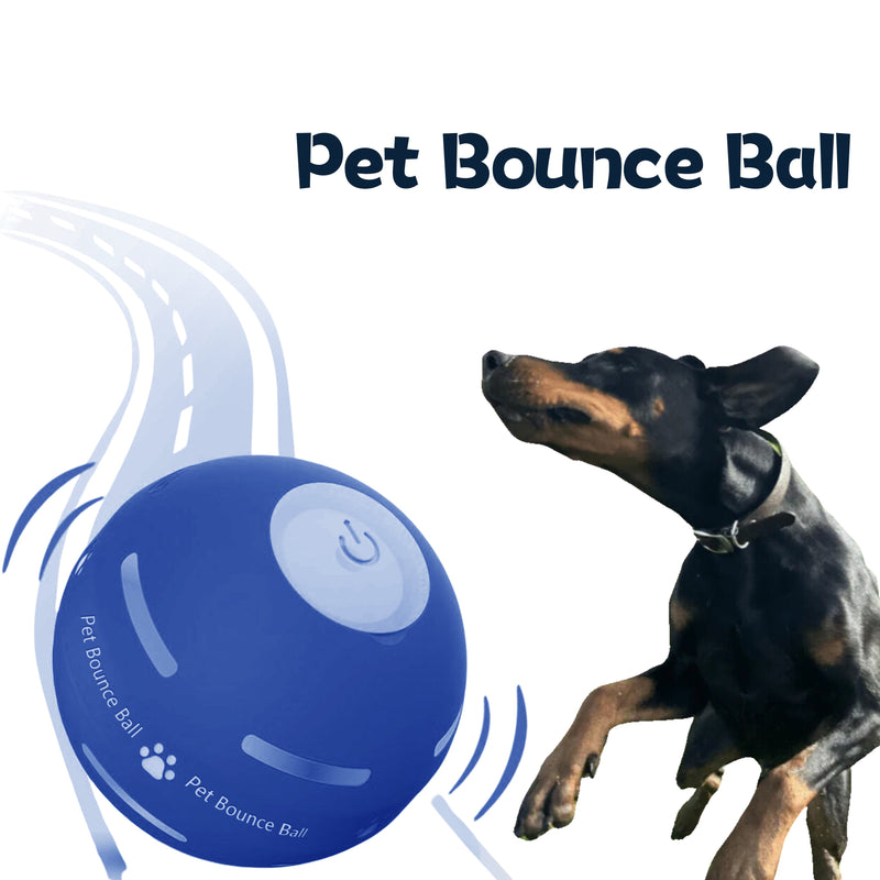 Pet Bounce Ball