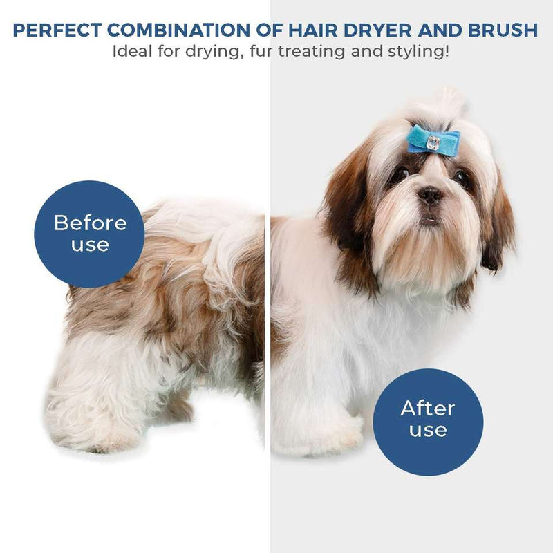 2-in-1 Dryer for Pets