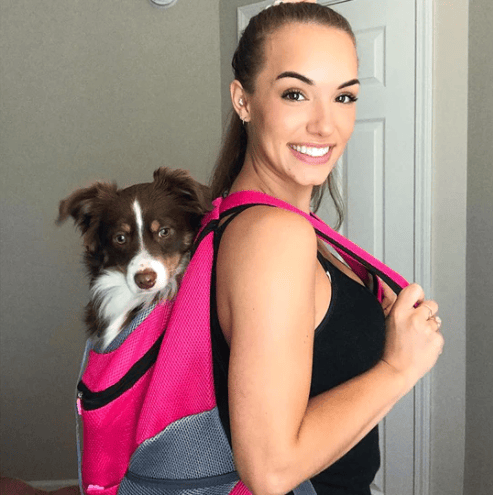 39% OFF – 2023 Summer Dog Backpack