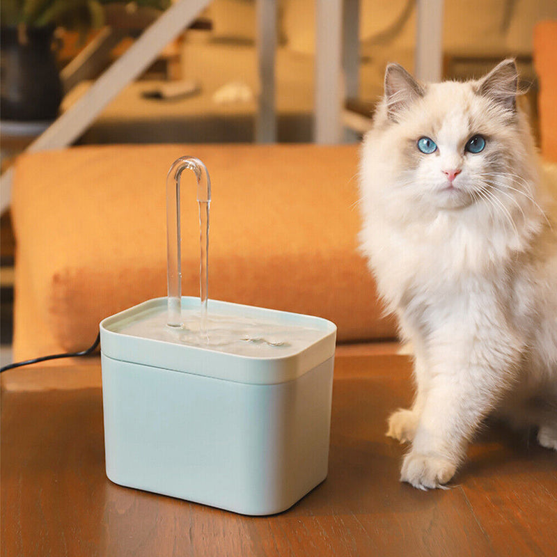 Pet Water Dispenser