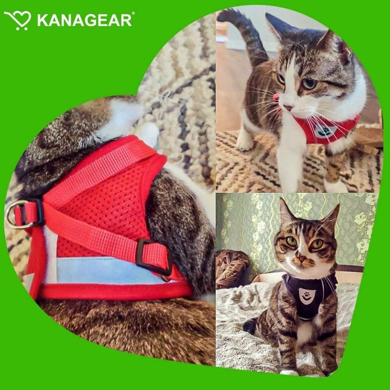 EasyWalk Cat Harness and Leash Set