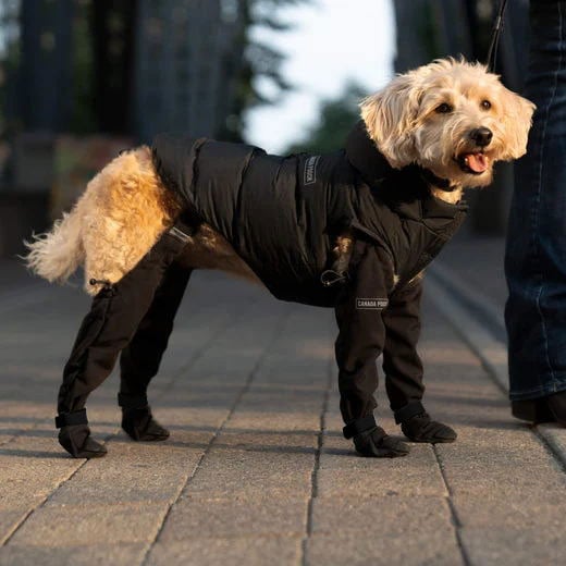 Canada Pooch Suspender Boots For Dogs