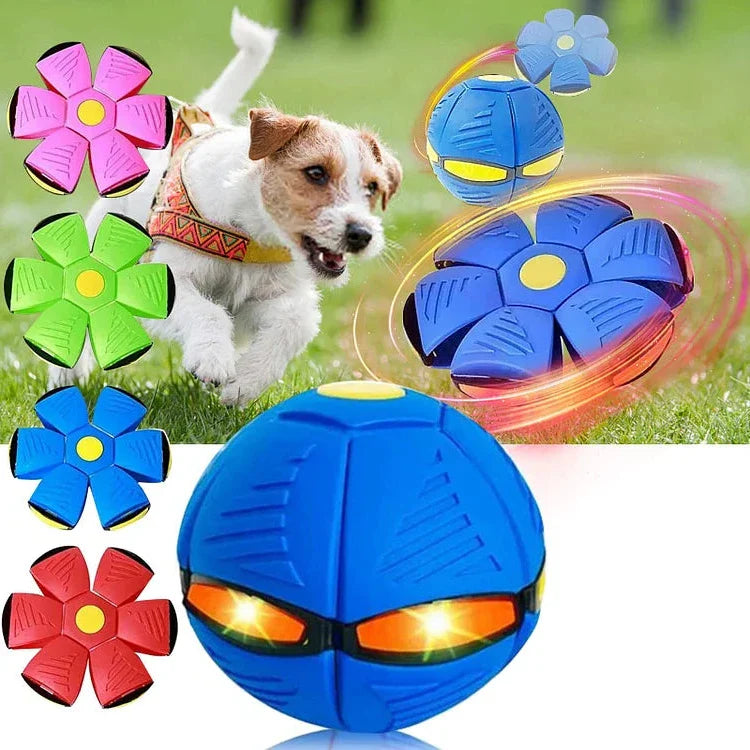 Flying Saucer Ball Dog Toy