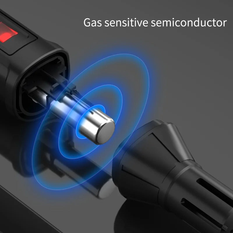 Gas Leak Detector