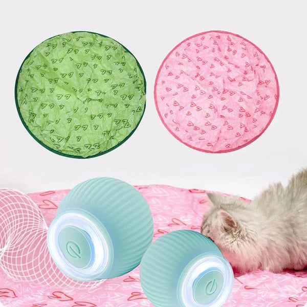 2 in 1 Simulated Interactive hunting cat toy