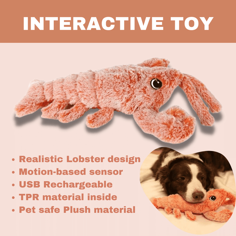 Floppy Lobster Interactive Dog Toy