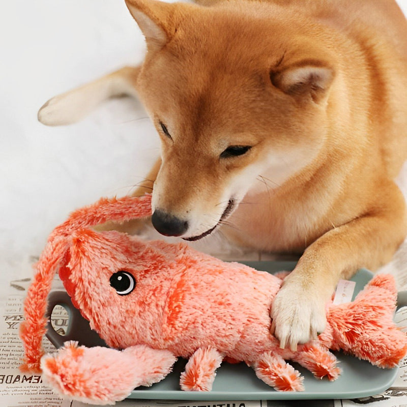 Floppy Lobster Interactive Dog Toy