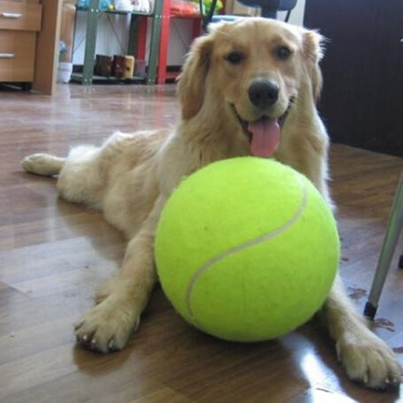 Large tennis ball for your dog – XXL – 24 cm diameter