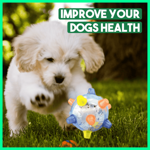 Goda™ Pet Ball  Endless Entertainment for Your Furry Friend!