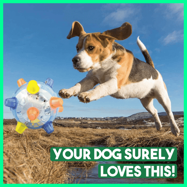 Pet Ball  Endless Entertainment for Your Furry Friend!