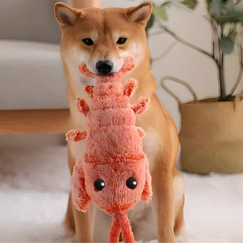 Floppy Lobster Interactive Dog Toy