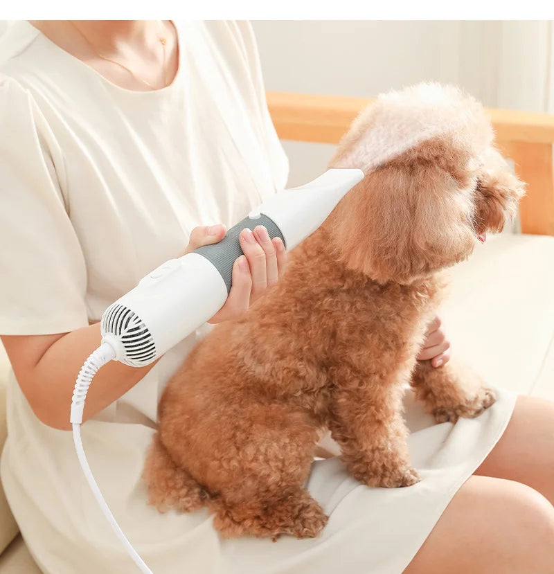 3-in-1 Dog Hair Dryer and Grooming Brush