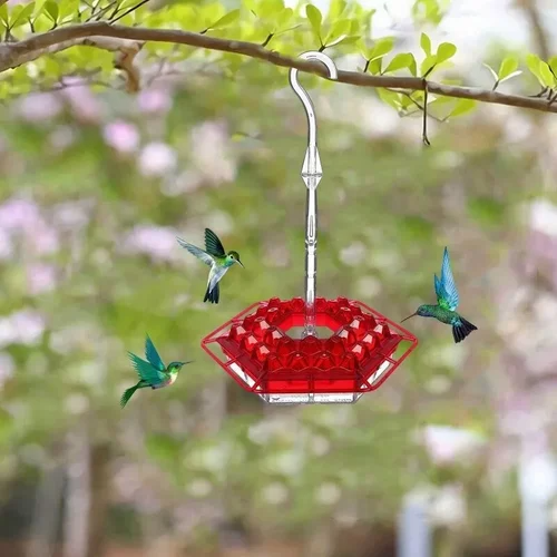 Keilini Sweety Hummingbird Feeder