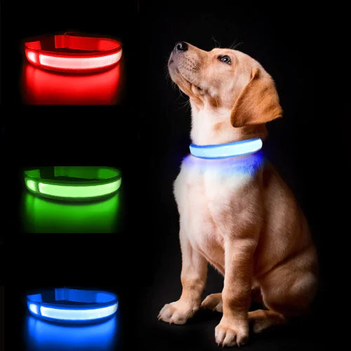 FUREVER PET Airtag LED NightWalk Collar