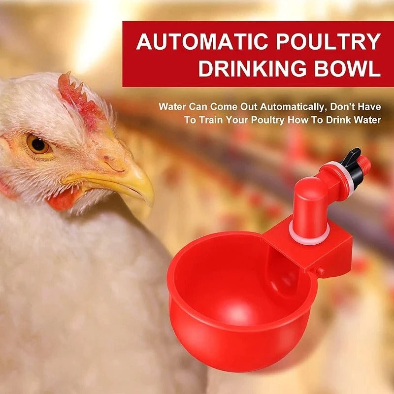 Automatic Chicken Water Cups