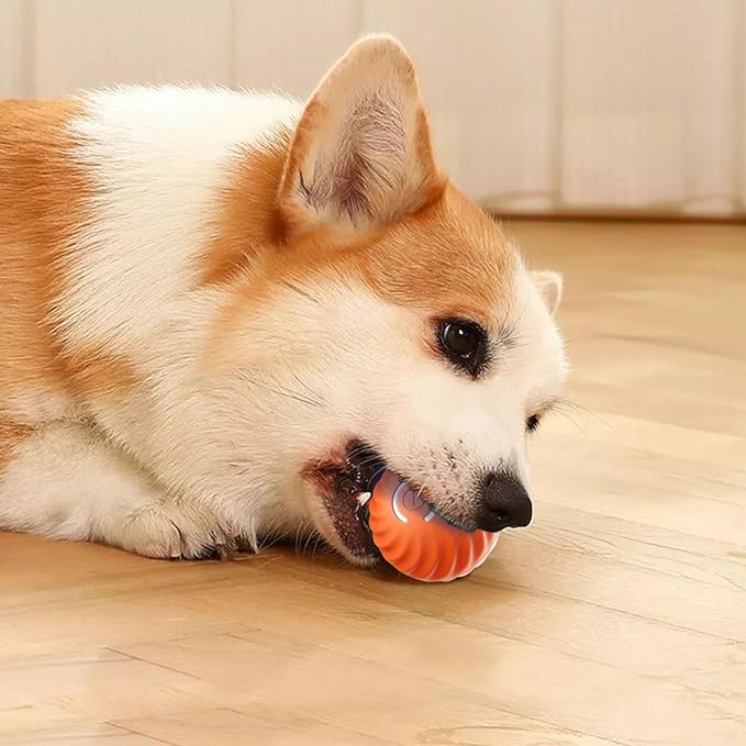 Automatic smart teasing dog ball that can’t be bitten