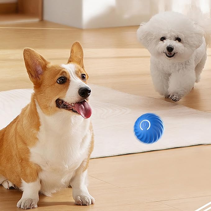 Automatic smart teasing dog ball that can’t be bitten