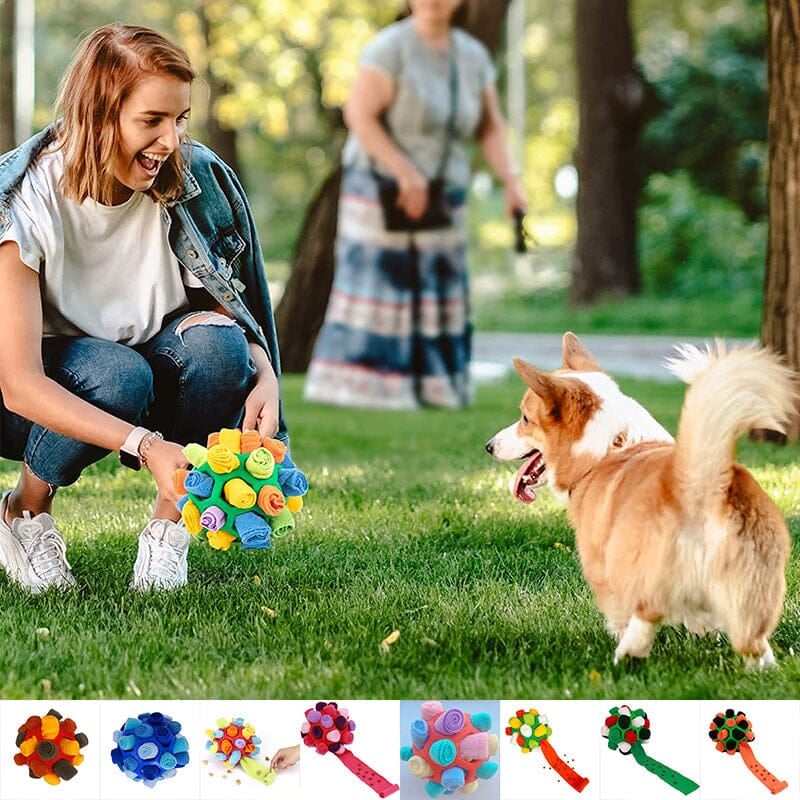 Dog Chew Toy BUY 2 GET 10% OFF