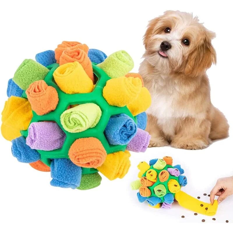 Dog Chew Toy BUY 2 GET 10% OFF