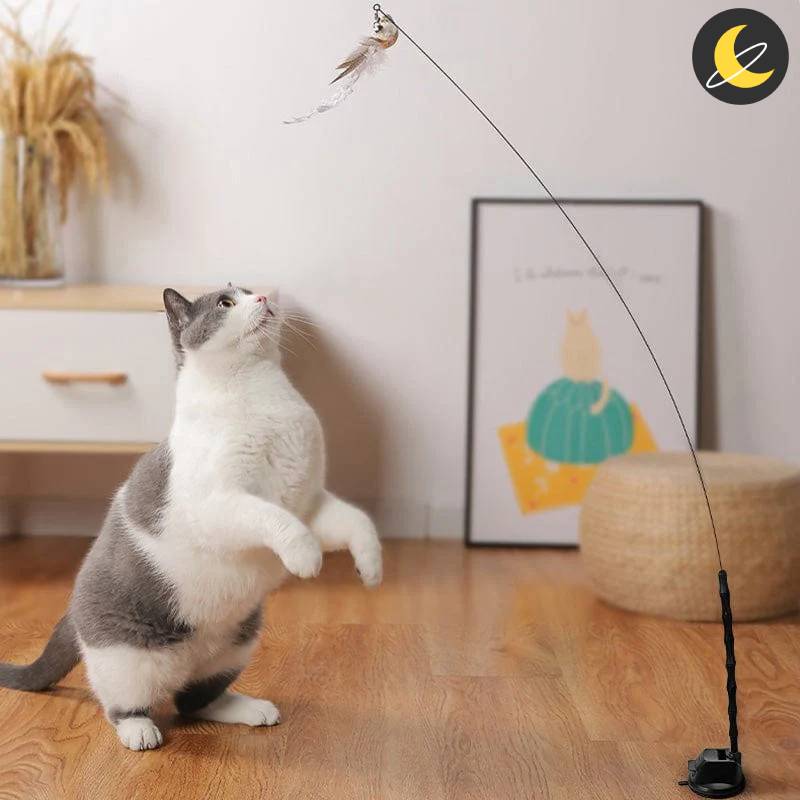 Birdy Cat Toy