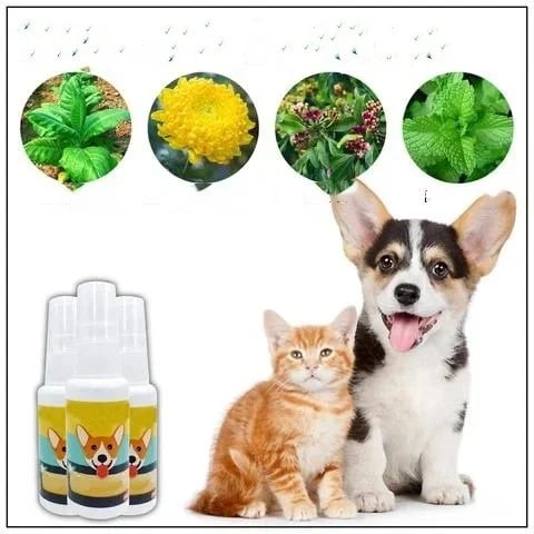 (Blowout Sale) Pet Potty Here Training Spray