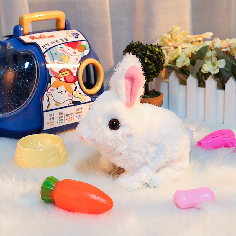 Bunny Toys Educational Interactive Toys Bunnies Can Walk and Talk – Hot Sale