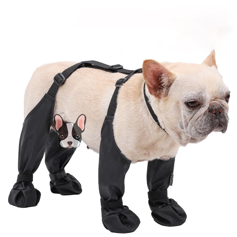 Canada Pooch Suspender Boots For Dogs