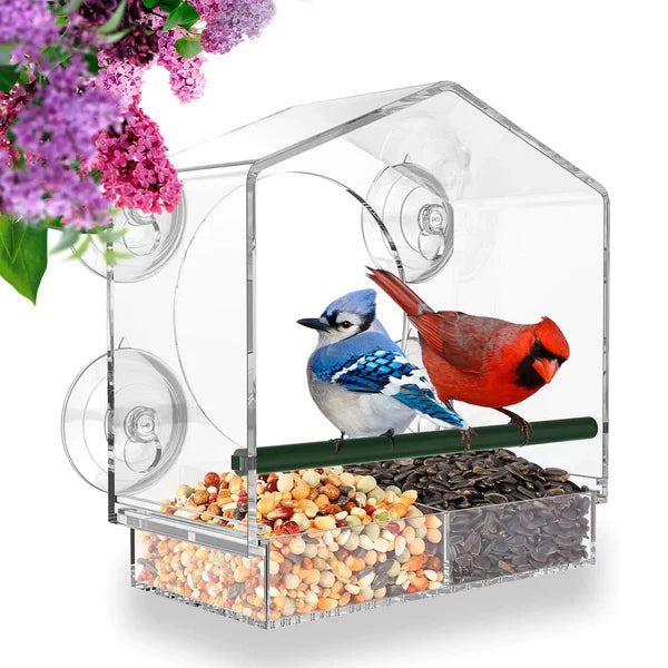 CatShow - Window Bird Feeder