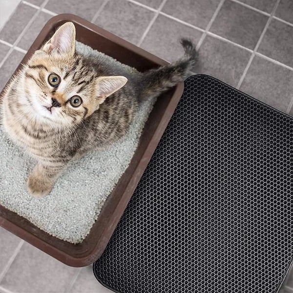 Spotless Spring (Christmas Pre Sale 49% Off) Non-Slip Cat Litter Mat