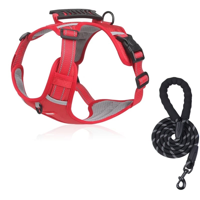 Christmas Sale 49% OFF – No Pull Dog Harness for Pets