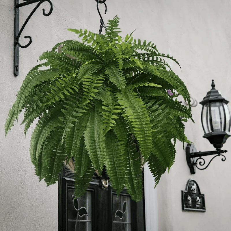 Correcteam | UV Resistant Lifelike Artificial Boston Fern