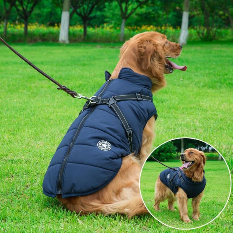 Cozy Waterproof Dog Jacket