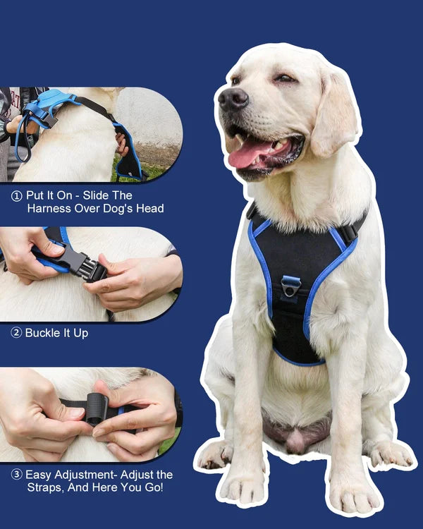 Dog Harness and Retractable Leash Set All-in-One