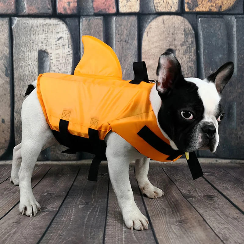 Dog Life Vest Shark- Keep Your Pet Safe and Stylish in the Water!