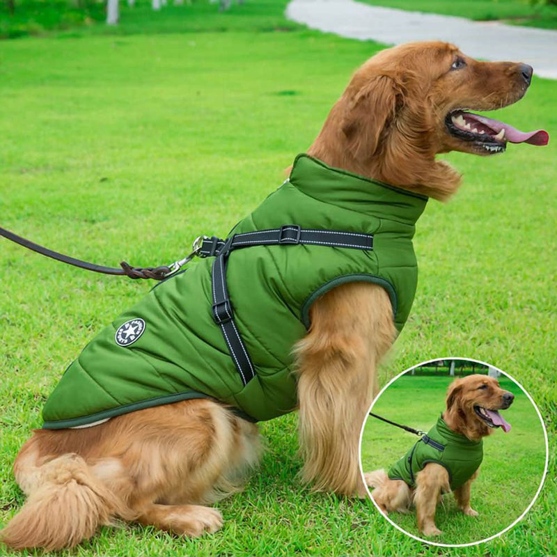 Dogegis Shop – Waterproof Winter Dog Jacket With Built-In Harness