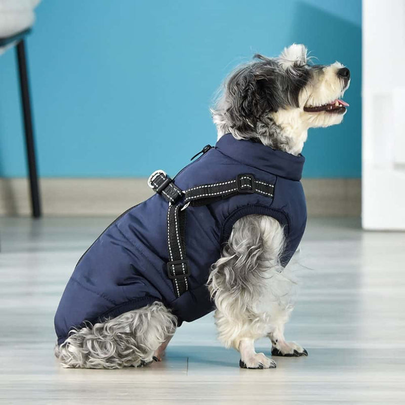 Dogegis Shop – Waterproof Winter Dog Jacket With Built-In Harness