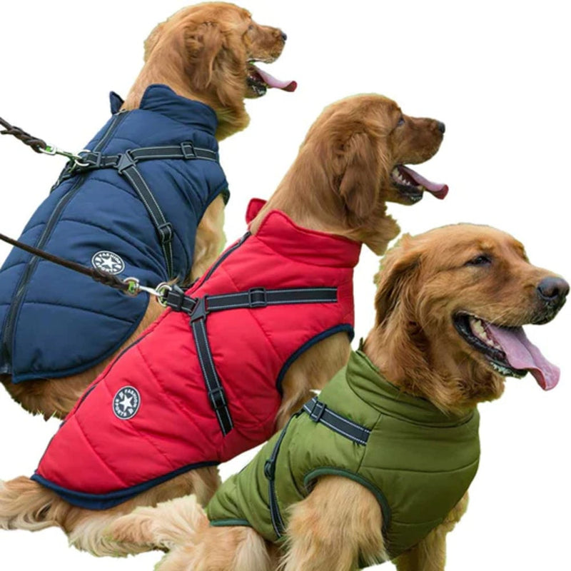 Dogegis Shop – Waterproof Winter Dog Jacket With Built-In Harness