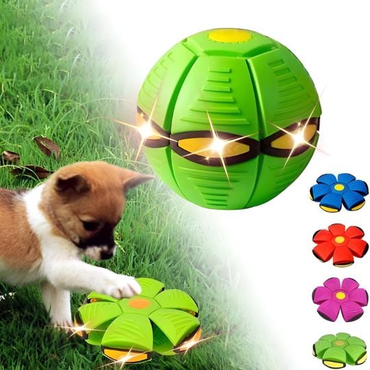 Doggy Disc Ball – Interactive Toy for Pups