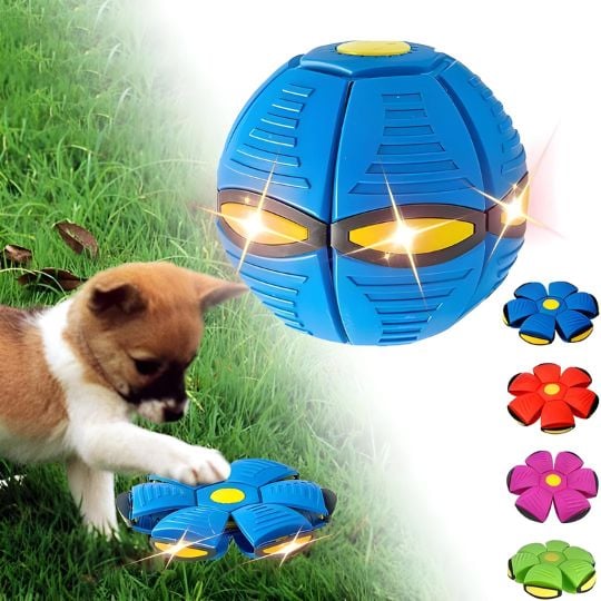 Doggy Disc Ball – Interactive Toy for Pups