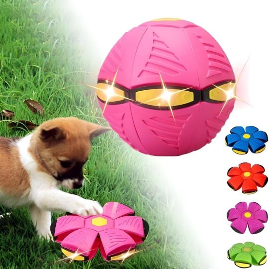 Doggy Disc Ball – Interactive Toy for Pups