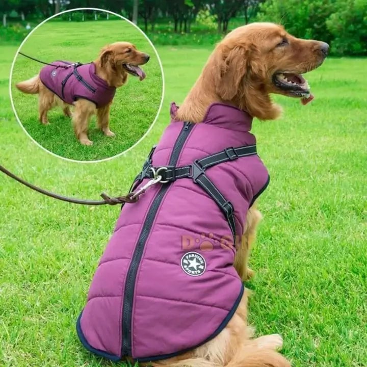 Dogiie Waterproof Winter Jacket with Built-in Harness