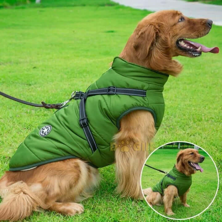 Dogiie Waterproof Winter Jacket with Built-in Harness