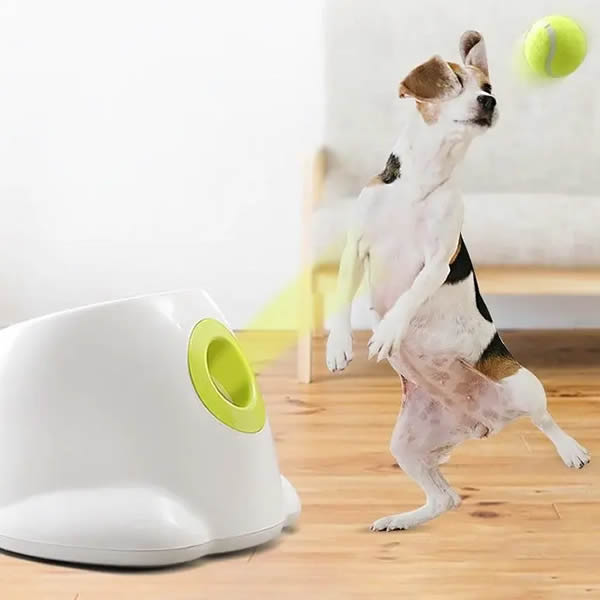 DogPro Automatic Ball Launcher