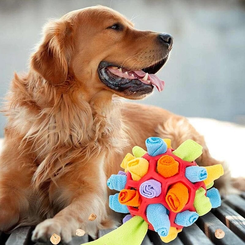 Dog Chew Toy BUY 2 GET 10% OFF