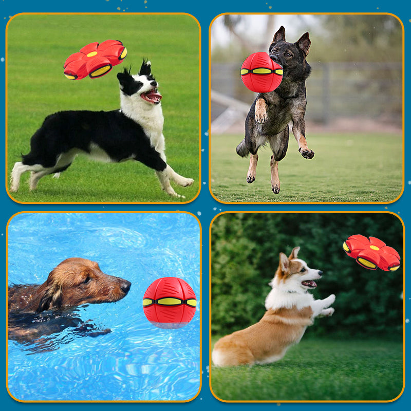 MOLUNY – Pet Toy Flying Saucer Ball