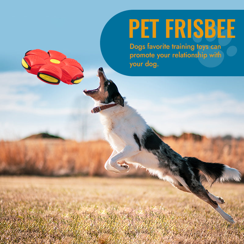 Fabehe Pet Toy Flying Saucer Ball