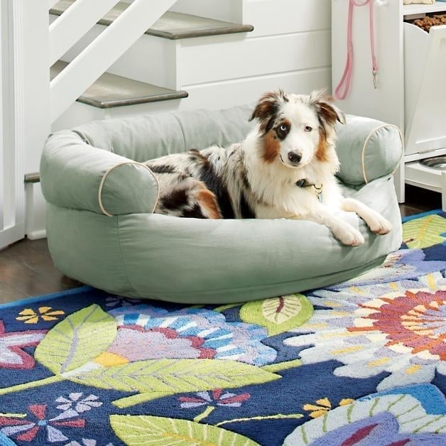 Factory Closing, Clearance Sales 70% OFF – Sofa Dog Bed