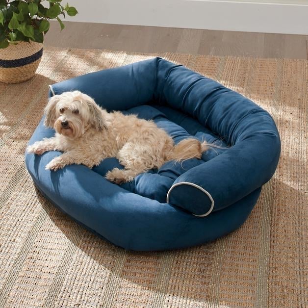 Factory Closing, Clearance Sales 70% OFF – Sofa Dog Bed